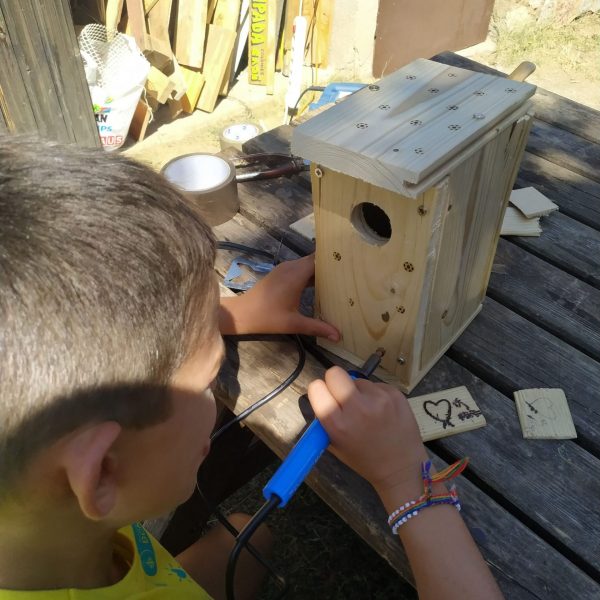 Col·locació d'una caixa niu per a ratpenats