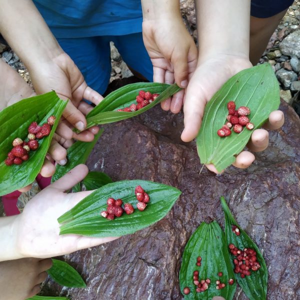 Grup d'infants compartint moments a l'acampada